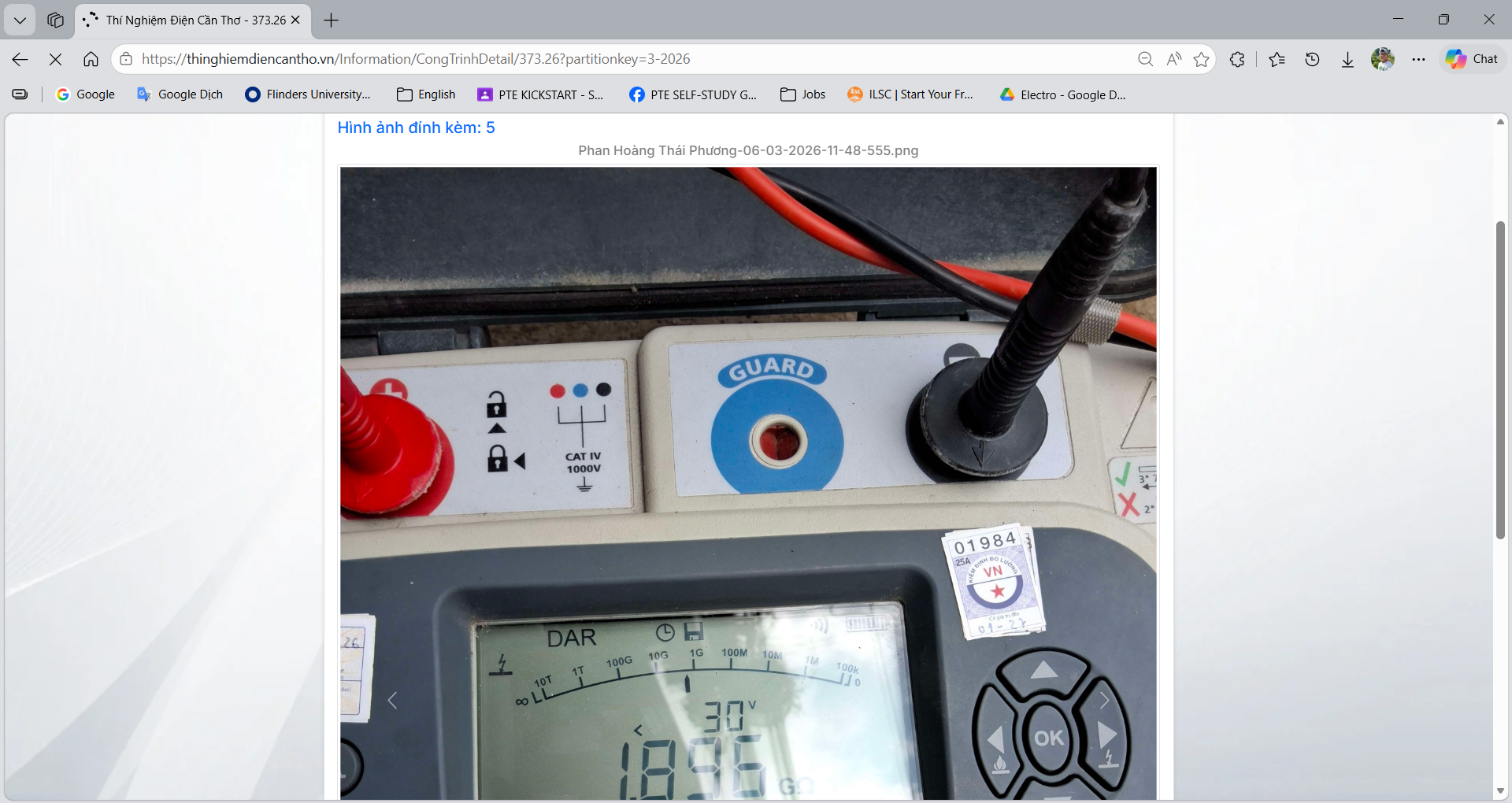 Web portal reporting and exports
